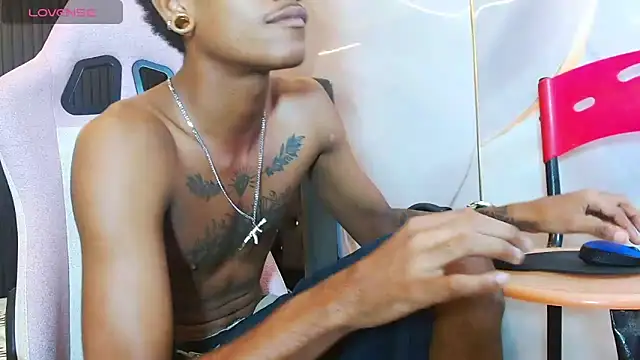 ManSant webcam