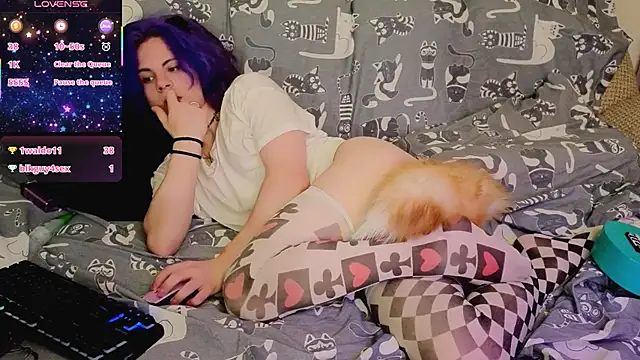 SparkyFerret webcam