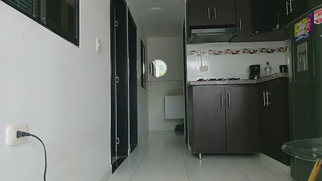 grey___27 webcam
