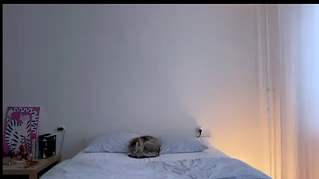 Milky___Way webcam
