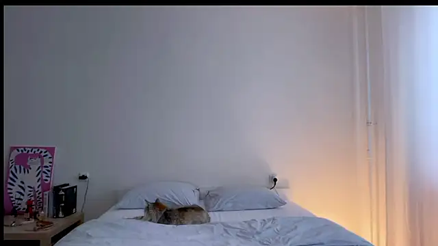 Milky___Way webcam