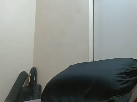 robintoit webcam