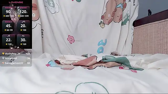 baoer-558 webcam