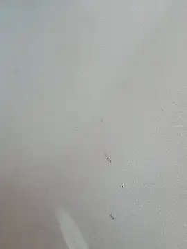 -Bitilu- webcam