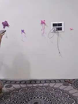 silkyhairs webcam