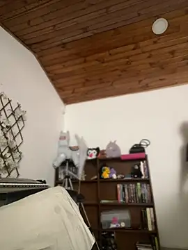 NikkiNix webcam