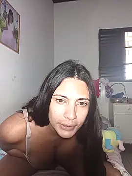 isistrans19 webcam