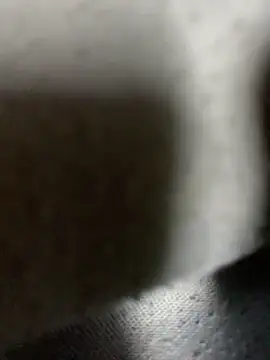 justabc (M young) - Help me pay rent