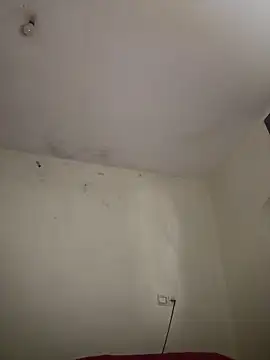 arabayla webcam