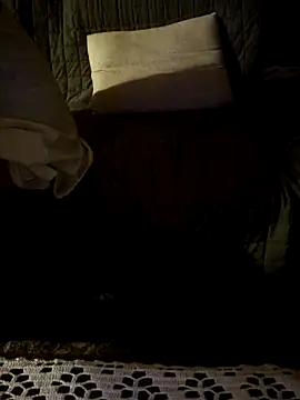 stellina8 webcam