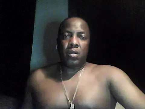 perlados webcam