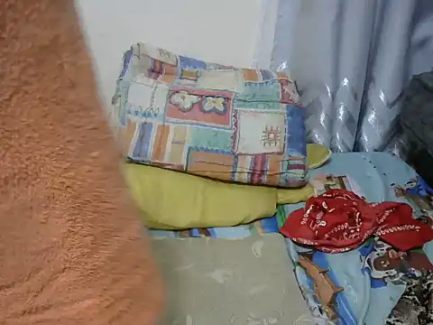 playfullnova webcam