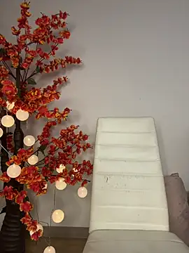 VictoriaHiill webcam