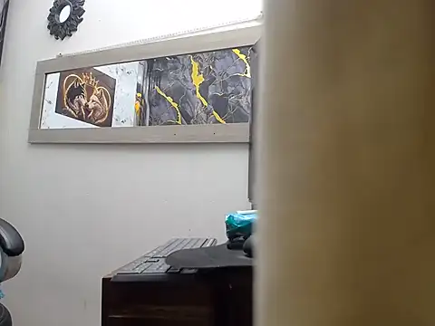 isa_x18 webcam