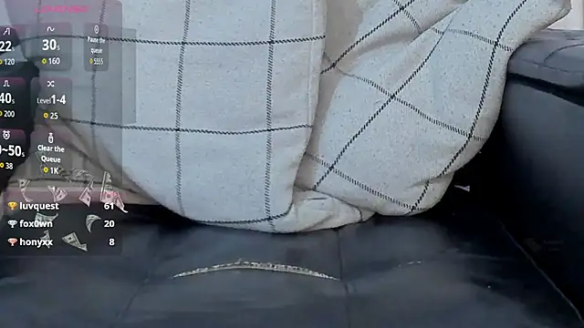 Jaadewest webcam
