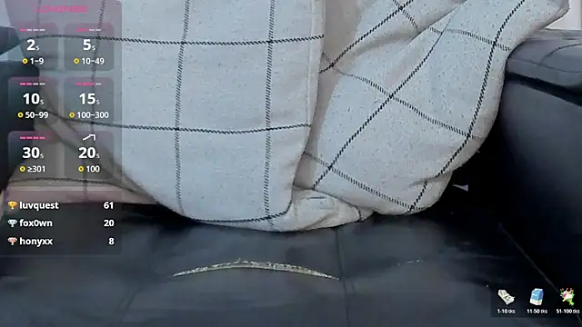 Jaadewest webcam