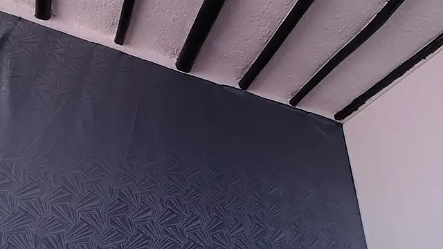 Freyja_eter webcam