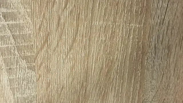 NoFace_Model webcam
