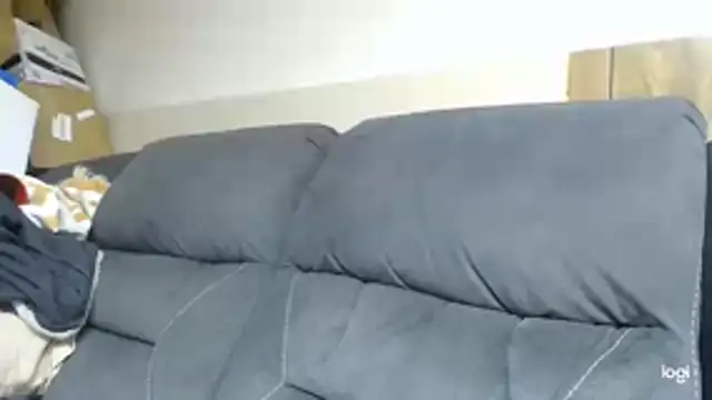 BrisonChase webcam