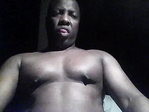 perlados webcam