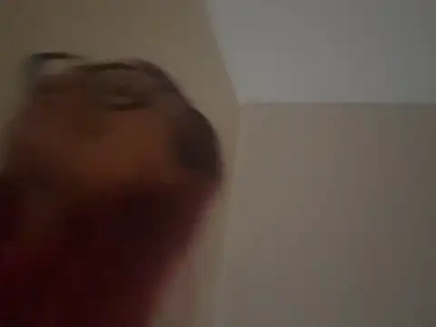 FoxyValentine webcam