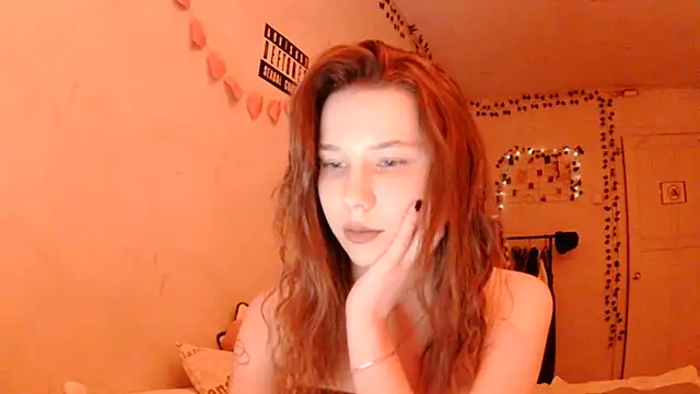 PollyStix webcam