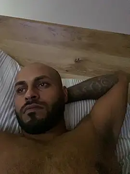 islandvybee55 webcam