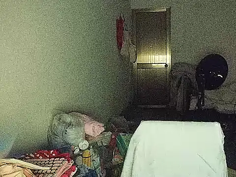 RebelAura webcam
