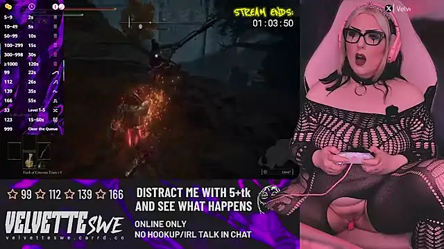 VelvetteSWE webcam