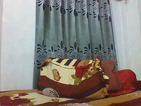 koushik10 webcam