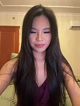 yy22111 webcam