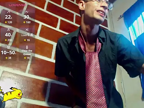 Steeve_Hard webcam