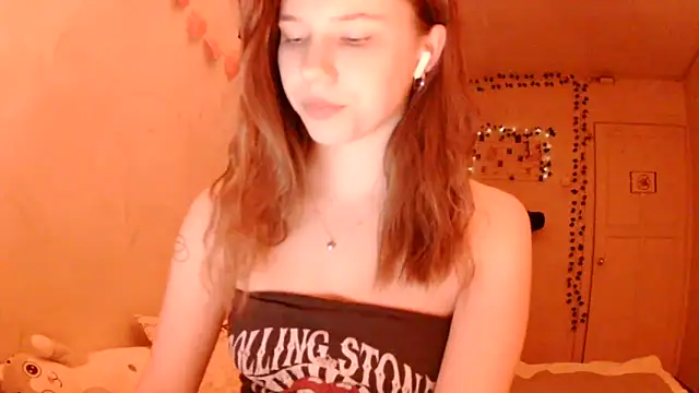 PollyStix webcam