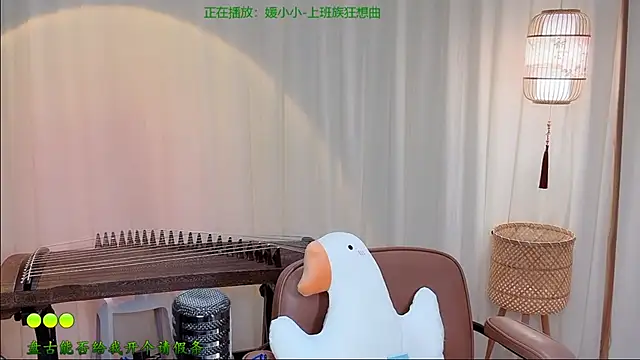 Tian-xin-999 webcam