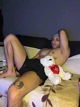 Mohdollmen webcam