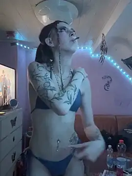 Lina-420 webcam