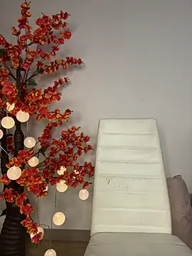 VictoriaHiill webcam