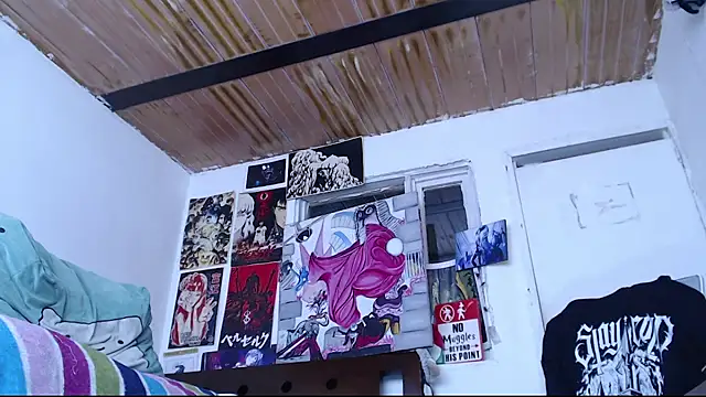 Cortana2_0 webcam