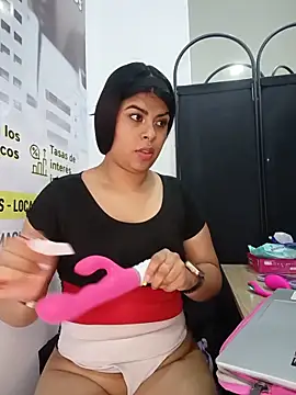 SOFIA-11_ webcam