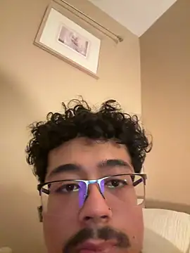 defation webcam