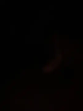 PlayBoy_realxxx webcam