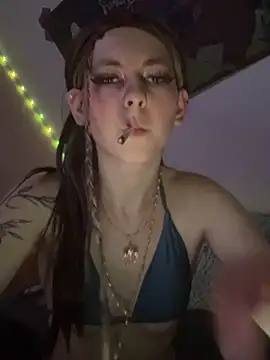 Lina-420 webcam
