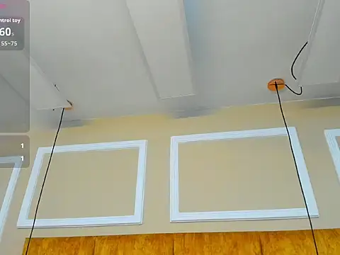 yuliht1 webcam