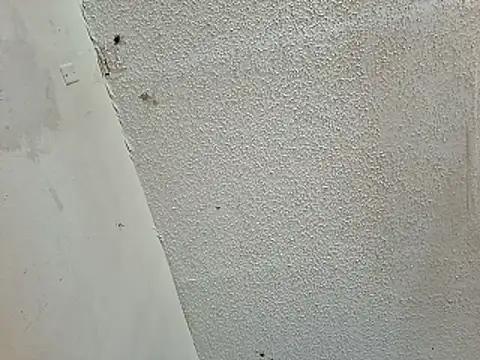247Srokin webcam