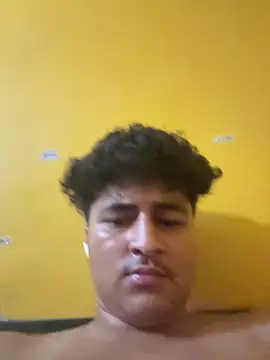 cannonWithMuscles webcam
