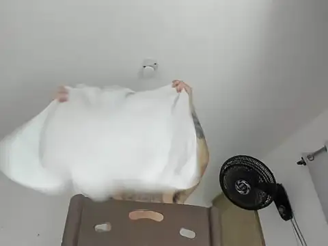 GilberMxx avatar