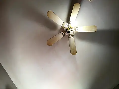 FunCouple6990 webcam