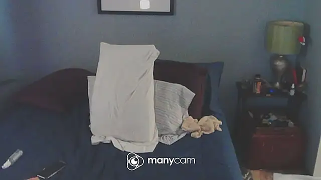 NWBuilt webcam
