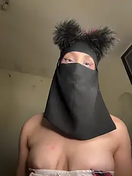 arabayla webcam