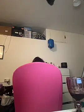 ladyturtle webcam